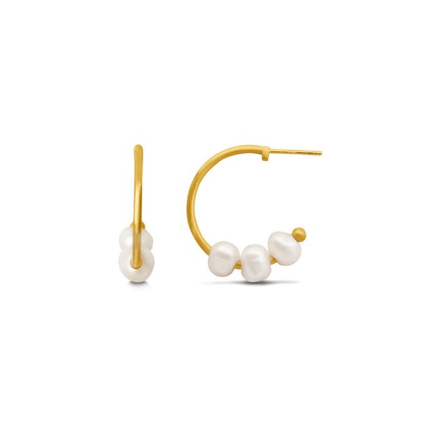 Emily Hoops small Gull