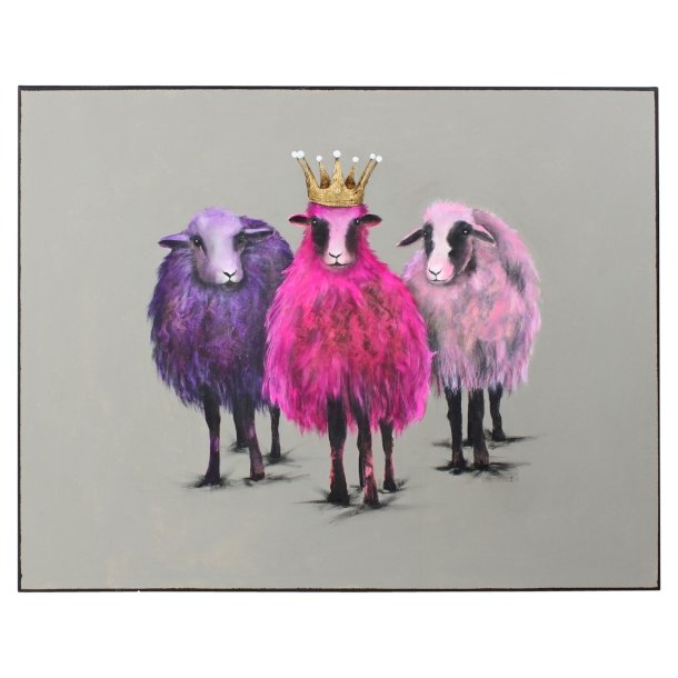 Royal Sheep bilde