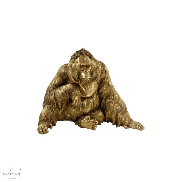Orangutan, Gold