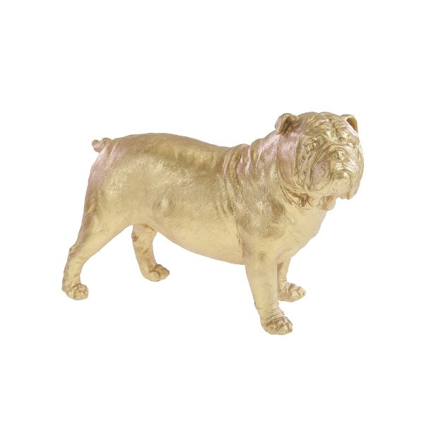 Bulldog Gold