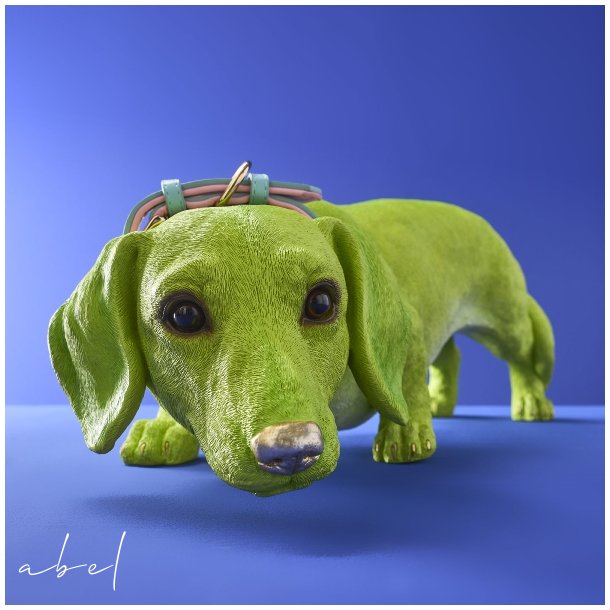 Dachs Wilfried
