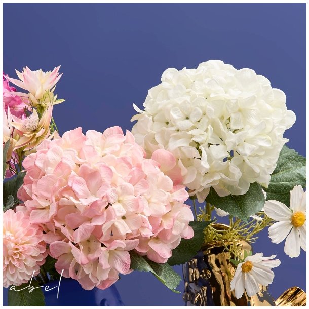 Hortensia