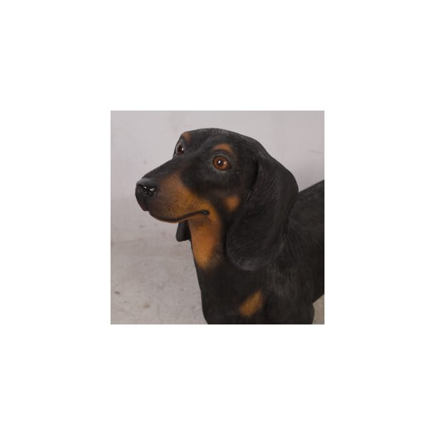Dachshund fra Exlusive items