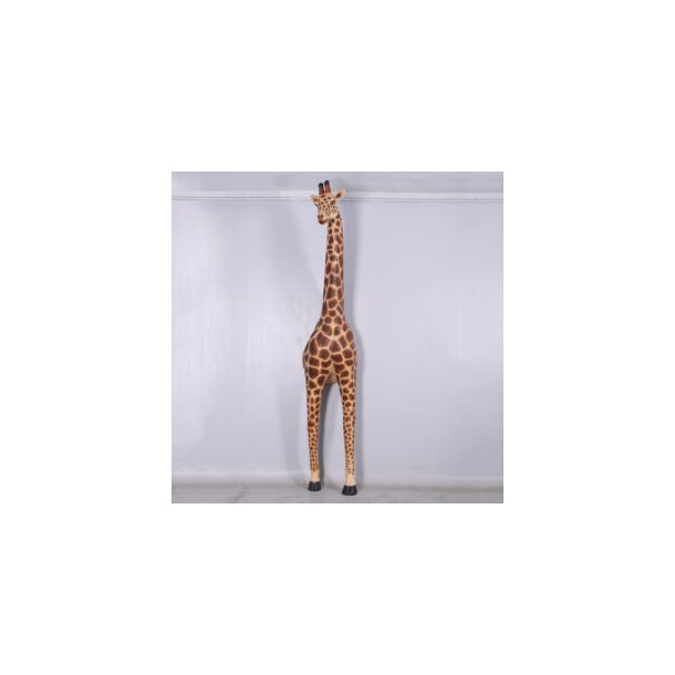 Giraffe 3,6 meter