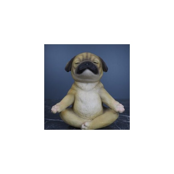 Yoga Puppy