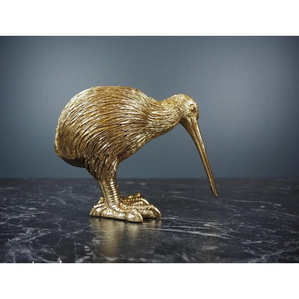 Kiwi fugl lysestake